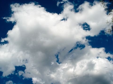 Broken cumulus against cobalt, the day after a storm