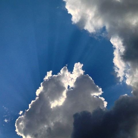 Crepuscular rays bursting from behind a cumulus crown