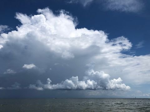 A rain column dropping from cumulus far out at sea
