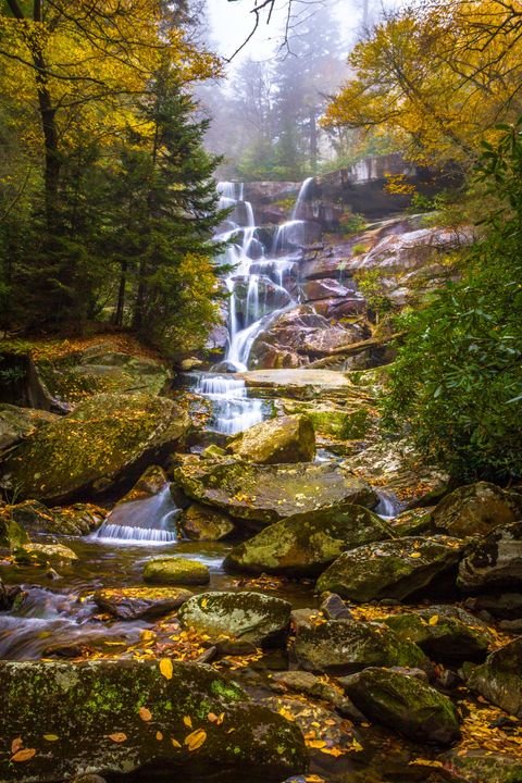 Ramsey Cascades in fog, autumn leaves clinging to the wet rock