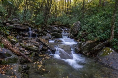 The creek pouring through mossy boulders, back below the clouds