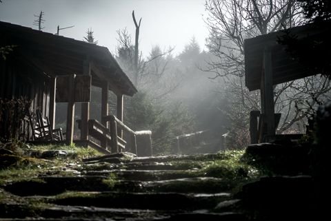 LeConte Lodge cabins in night fog