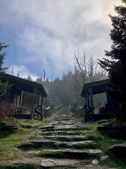 The stone path between lodge cabins disappearing into morning fog