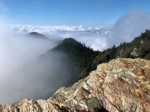 Morning inversion — ridgelines breaking through the cloud like islands