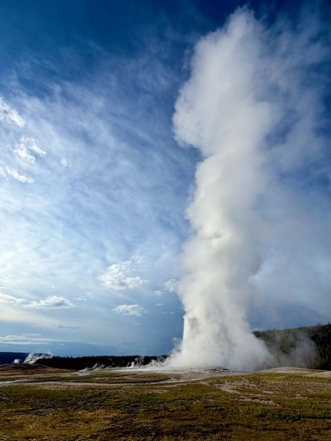 Old Faithful's steam column against a morning sky