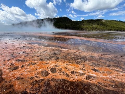Orange bacterial mat patterns, steam rising beyond