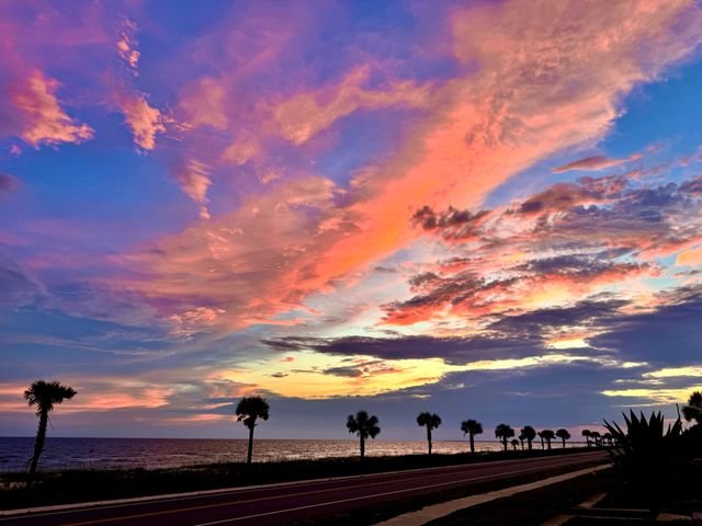 A sweep of pink sunset cloud over a palm-lined coastal road