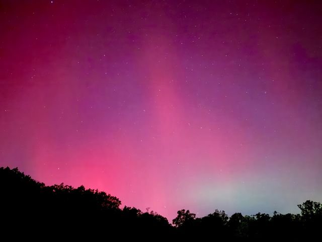 Aurora pillars in a magenta sky, stars showing through, above a dark treeline