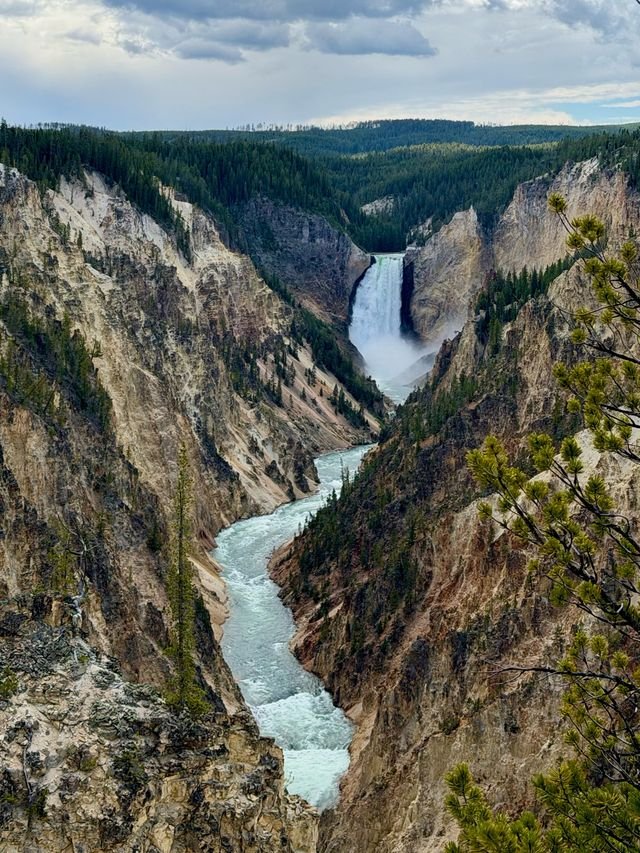 Lower Falls of the Yellowstone